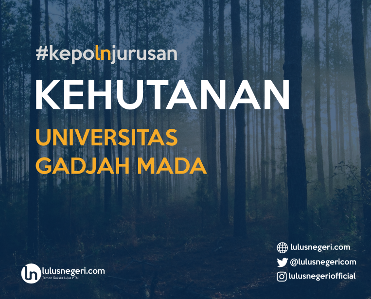 Tertarik Jadi Rimbawan? Yuk Kenalan dengan Kehutanan UGM Dulu..